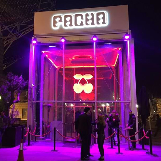 Pacha